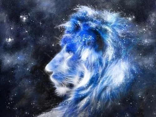 12星座在真爱面前是怎么样的表现?