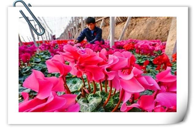 农民工返乡创业贷款