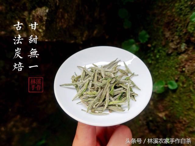 福鼎白茶的价格:白毫银针属于什么茶?为什么白