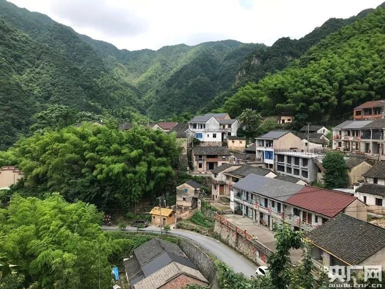 央广网:浙江绍兴、义乌农村闲置农房、宅基地