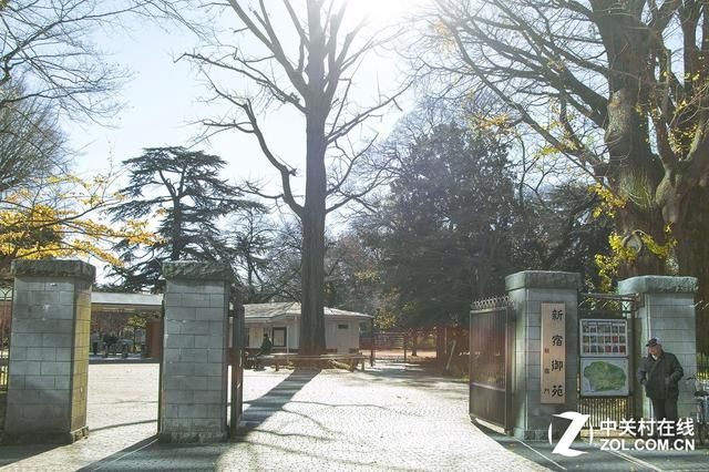 大C游世界 秋季旅拍日本东京的红叶街景