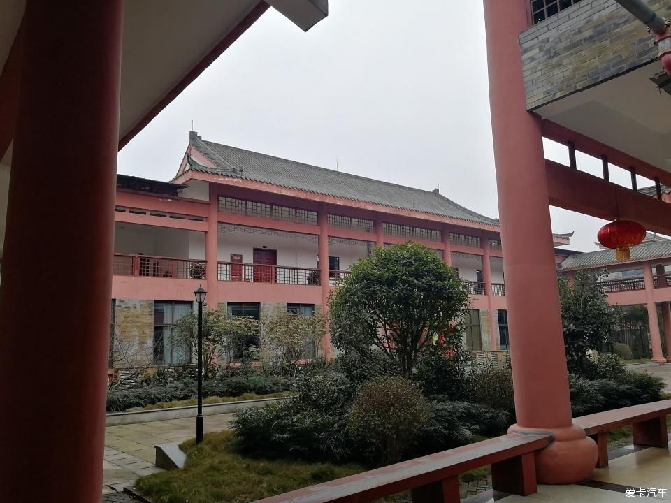 参观牛碾坪万亩观光茶