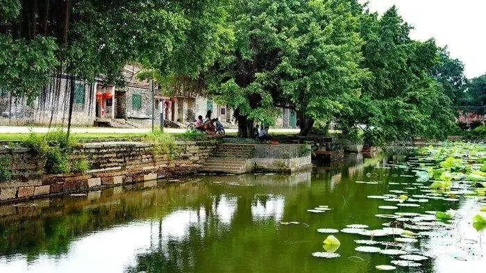 广州最适合一日游的免费景点，收好，够你任性玩一整年!