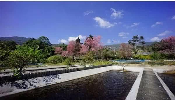 泰国最美国家公园：因他农山