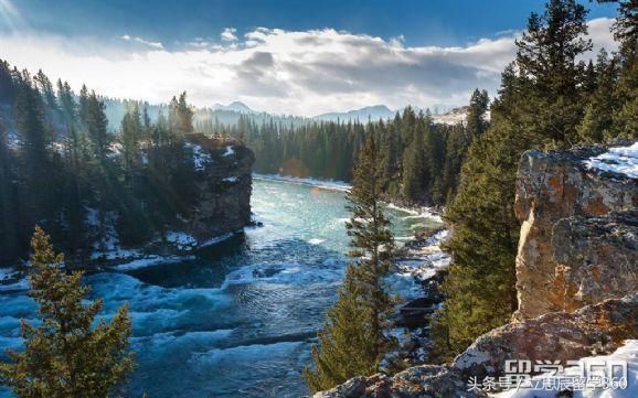 加拿大大学医学院排名