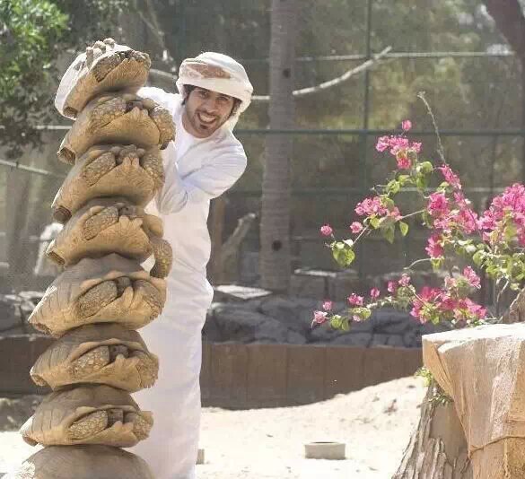 实拍迪拜土豪们的宠物，骆驼都有自己的车位，有钱人地位的象征!