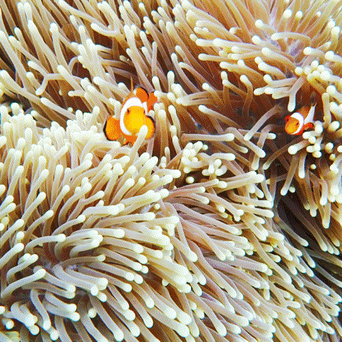 下一个假期去哪?推荐5个海岛给你，人均只要3k