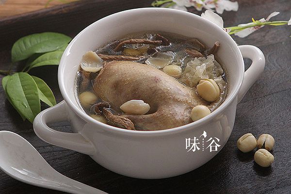 白莲茶树菇鸽子汤