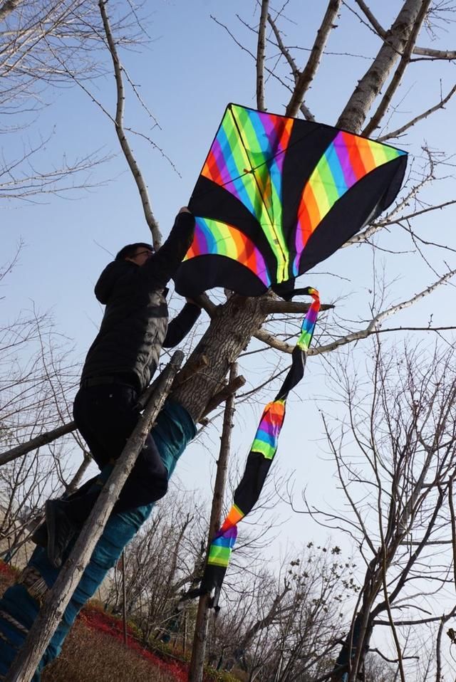 春节闲逛走拍洛阳百态之四：瀍河洛浦梅花艳，桥飞蛟龙丝路长