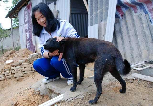 16岁女孩独自上山养猪，担心晚上有坏人来偷猪，她只能这么做！