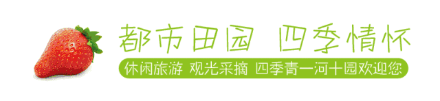 出外游玩清明假期哪里去?一河十园欢迎您!