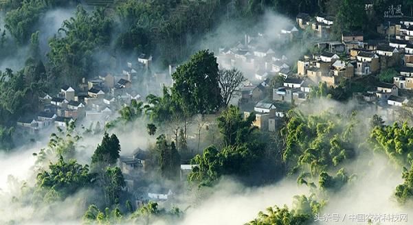 哈尼梯田!一县一品公益助农,云南红河农产品小芒果