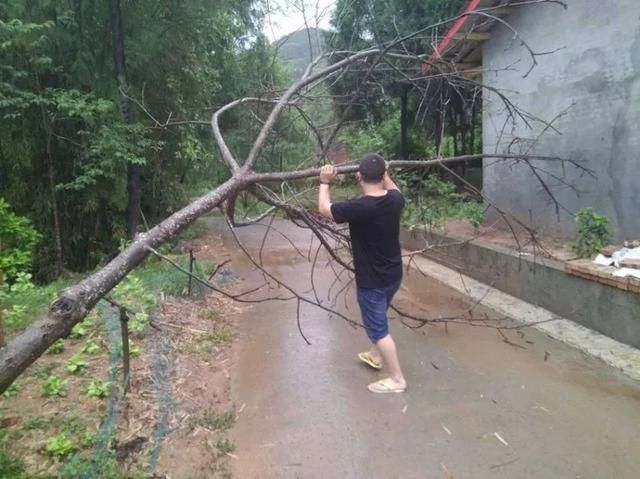 南部，一场突如其来的暴雨之后……