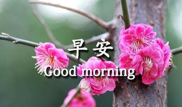 周日冬季早安祝福语