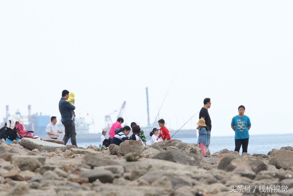 青岛胶州湾小螃蟹泛滥，赶海能抓好几百只回家油炸下酒爽歪歪