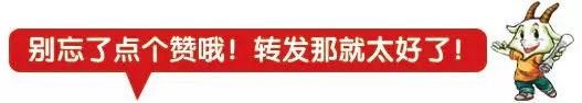 [收藏] 交警揭秘：开车永远不被电子眼拍照的方法，赶紧收着！