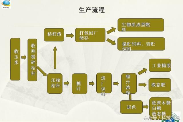 这两项新技术让玉米秸秆身价倍增，成为了香饽饽