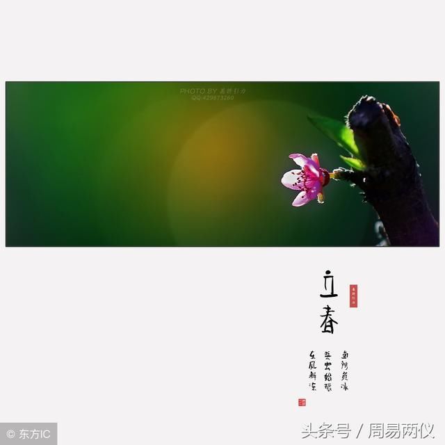 春回大地，运势回升！3大生肖10号过后，财运水涨船高！有你吗？