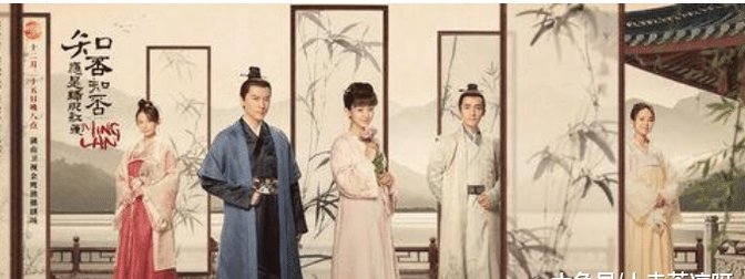 2019年收视率排名