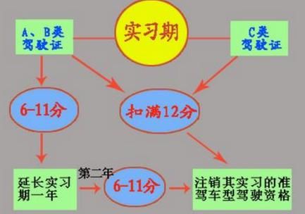 好不容易拿到C1驾驶证,实习期却被扣11分,会不