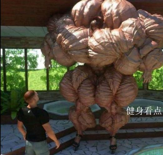 健身和健美有何区别,仅仅是体型差距?俄罗斯俩