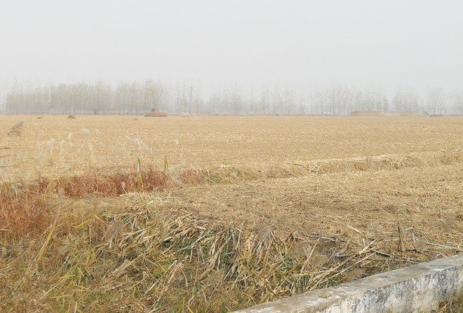 自己在农村的土地，让邻居先种着，粮食补贴归自己还是归邻居?