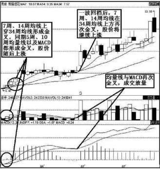 中国股市最牛的人：带你打破股市“七亏二平一赚”的魔咒