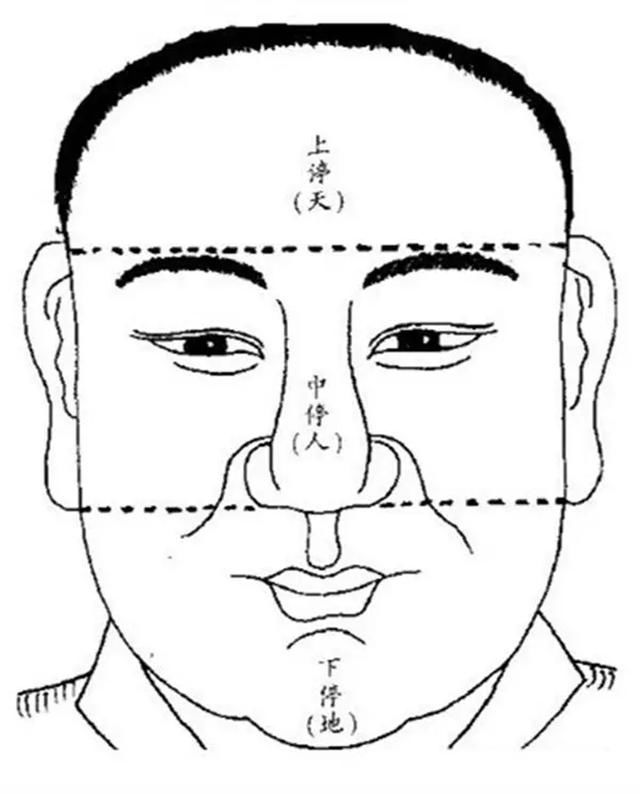 什么是五官指什么 t01890b6bf64007ab81.jpg