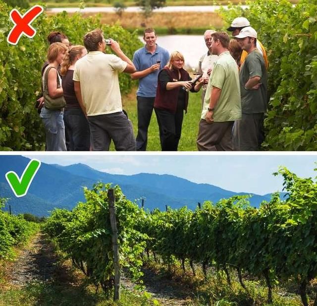 11个看起来都一样，价格却便宜几倍的旅游胜地