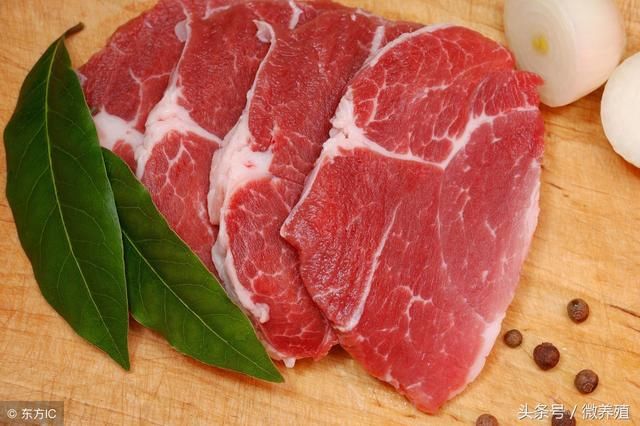 好消息!多地猪价触底反弹,但能否持续上涨值得我们深思!