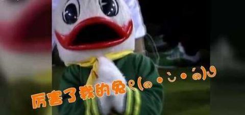 厉害了!小灰兔误闯美式足球赛还连连得分 引得