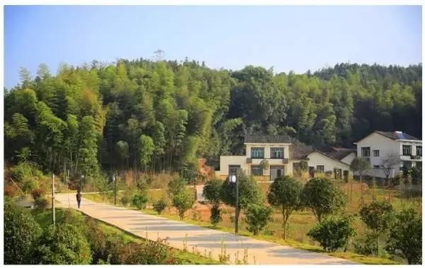 湖南省长沙市开慧镇GDP_湖南省长沙市龙伏镇(2)