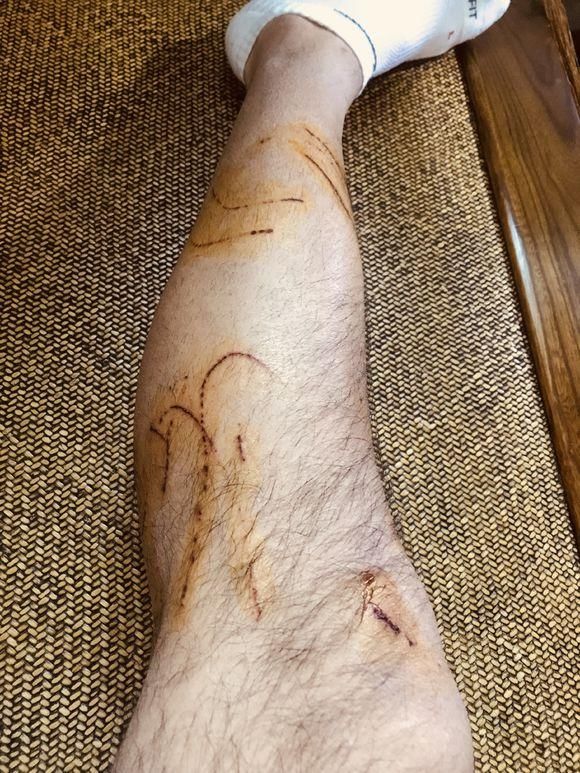 一男子在App Store下载了人猫交流器,结果给猫咪听完后,悲剧了