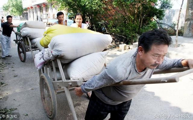 为啥农民辛苦60年不如范冰冰1天收入，老农说了2句话，句句戳心