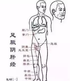 每天揉一次大腿内侧，两周后疏肝理气、气血畅通