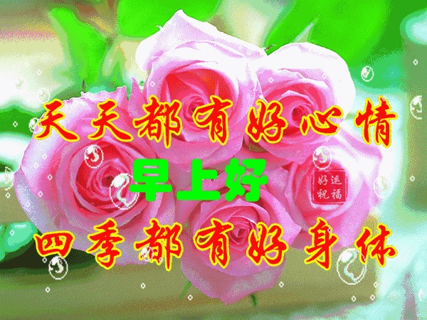 最漂亮早上好图片大全猪表情包可爱表情,早上好v图片语动态图片