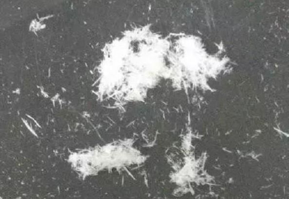 湖北什么时候地震后