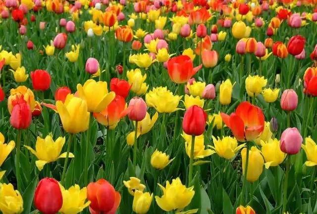 清明小长假去哪儿玩?沈阳周边这100个短途旅