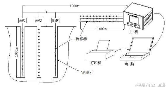 大棚种植你不知道的，根系和地温的关系？