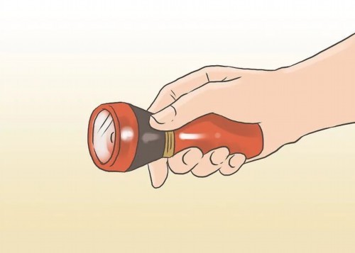 猫丢了,我用这些方法找回了猫!