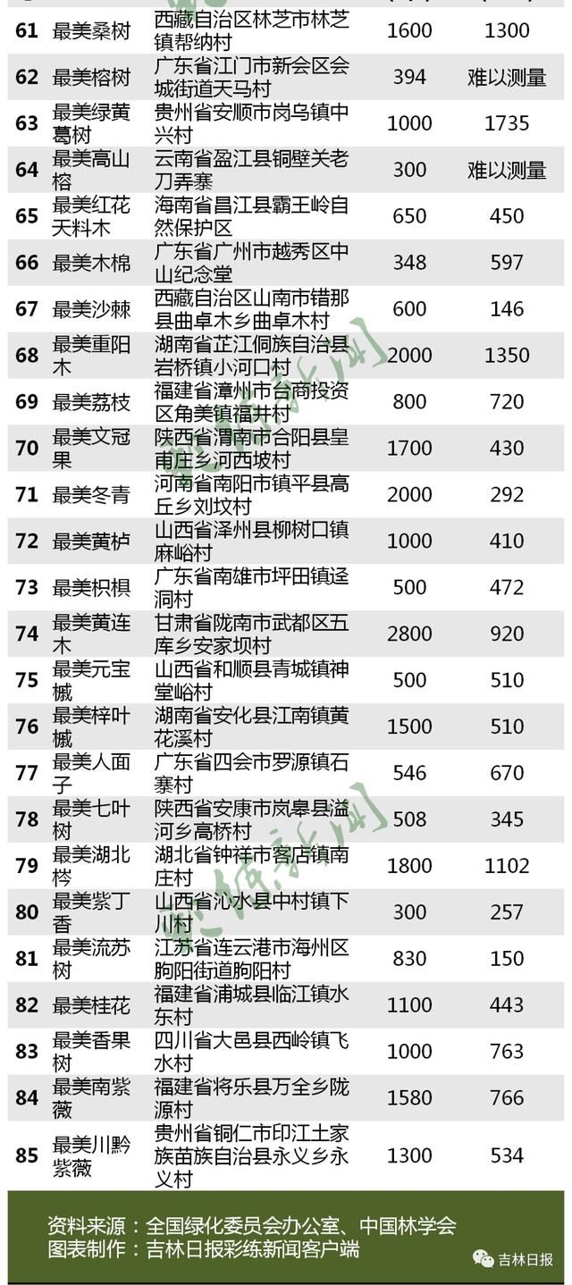 我州有3棵“中国最美古树”!最长树龄3000年