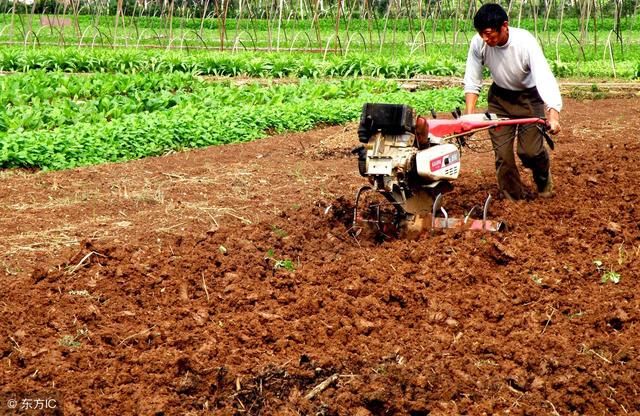 农村新增人口没有地怎么解决？别急，最新消息来了！