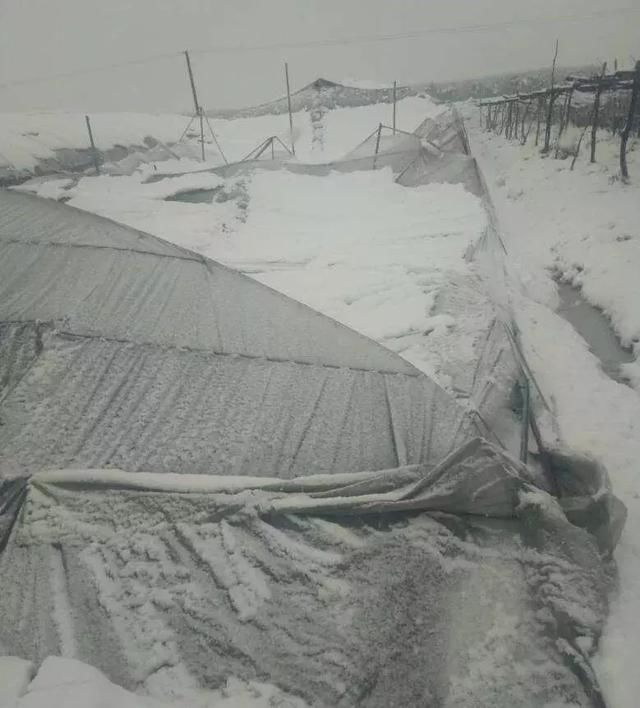 201461洛阳二模结合材料分析北海道重雪灾分布区的形成原因并说明其