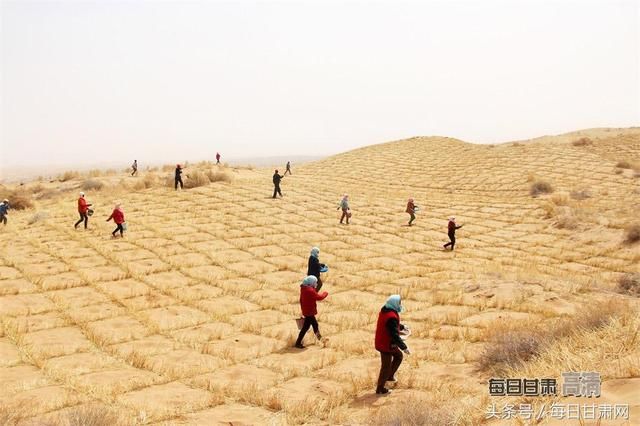 战风暴缚黄龙 八步沙漠变绿洲 祁连山下织锦绣