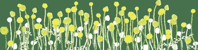 春游赏花踏青的看过来，自驾路线、交通提示在这里！