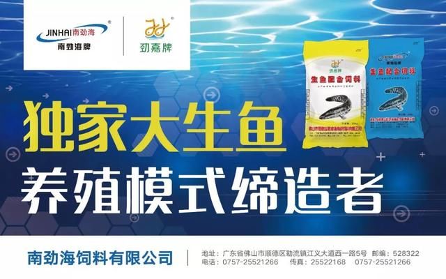 38亩豪赚600万元！养鱼大师倾囊相授亩赚超15万元的奥妙，行情火