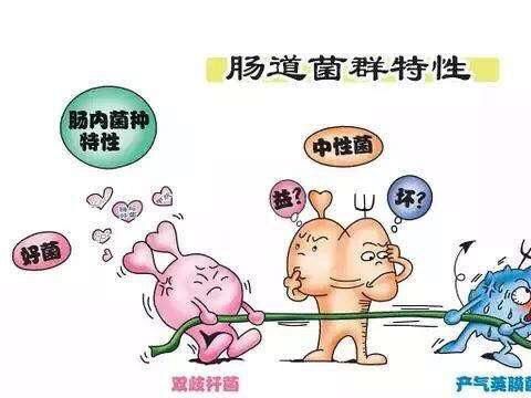 t018b5160aa40a1a4c8.jpg