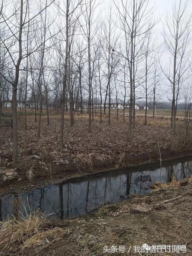 见过京东大佬在北京的豪宅,见过刘强东宿迁老