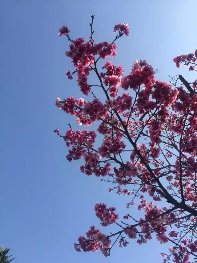 如果旅行是毒药，那姐妹淘就是我的解药！