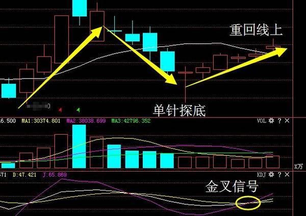 中国芯片第一股高歌猛进，业绩暴增570倍,下周或飙涨封王